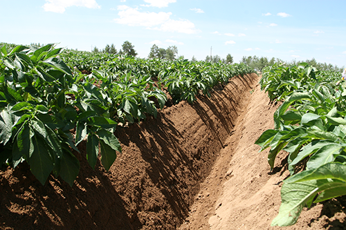 联系利来国际真人娱乐